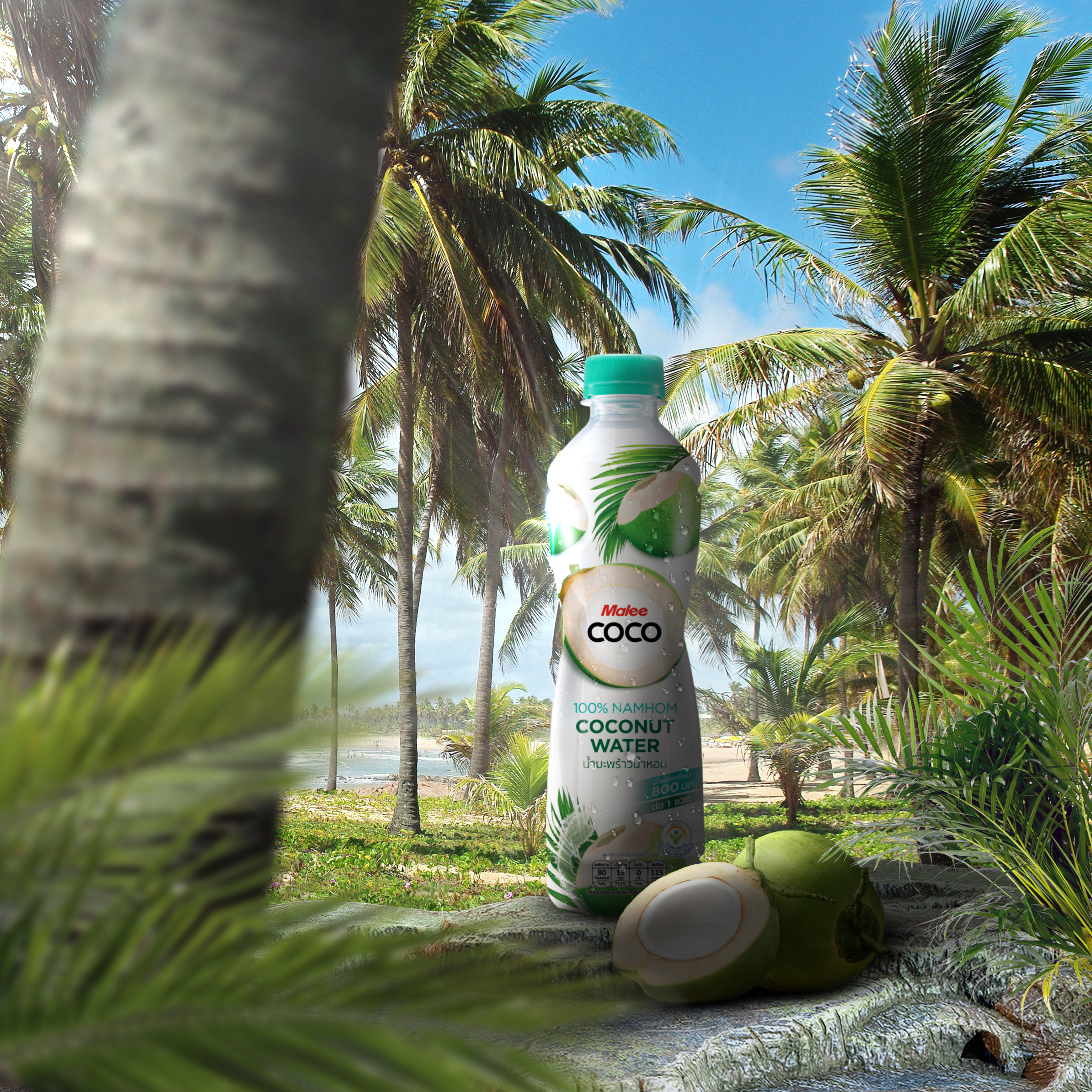 Coco Water Manipulation